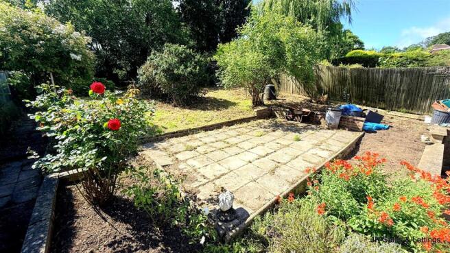 South Facing Garden