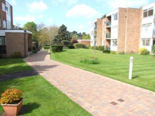 Communal Pathway