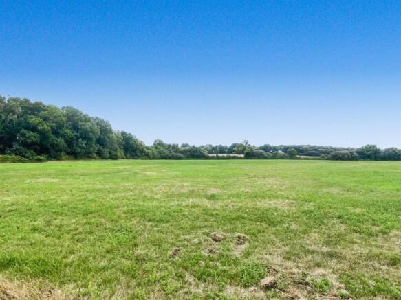20.48 acres woodlands 4.JPG
