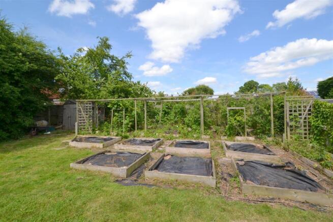 vegbeds.JPG