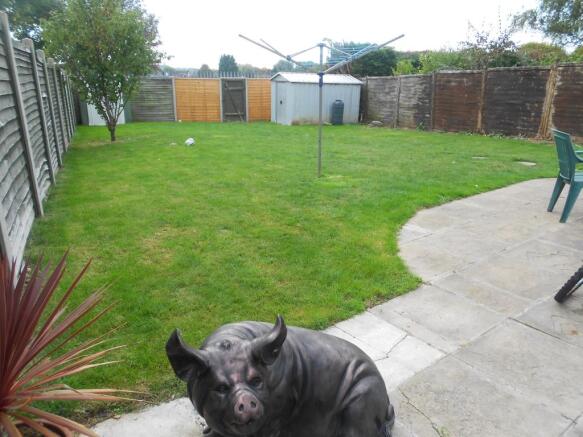 Rear Garden 2