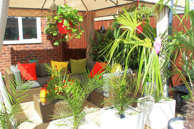 Patio Area
