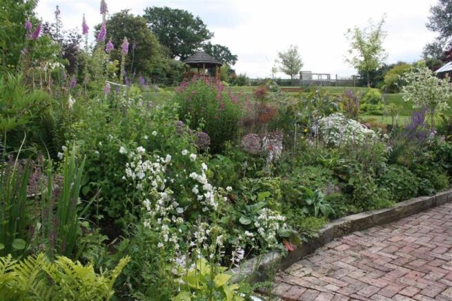 Stunning Rear Garden