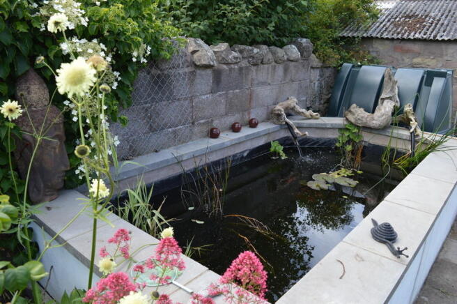 Photo 27