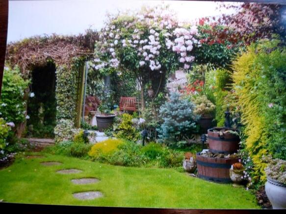 Photo 10