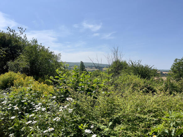 IMG_1489.jpeg