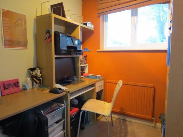 Picture 7