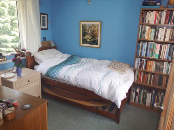 Photo 5