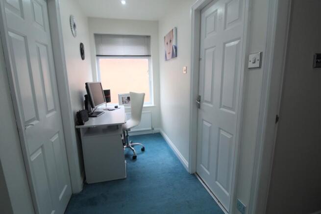 Study Area