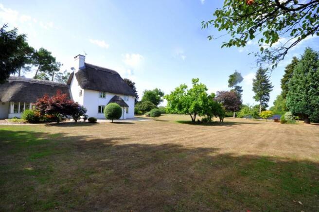 Photo 4