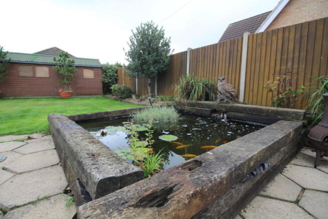 Photo 31