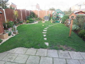 Photo 5