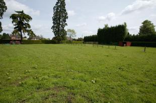 Field