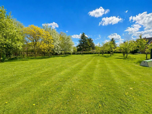 Sunny garden