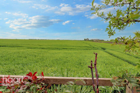 Benwick Road, Whittlesey