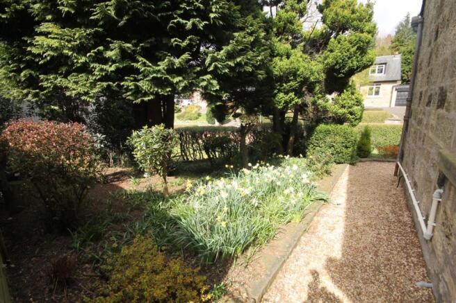 Side Garden