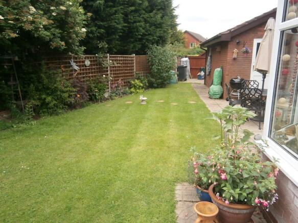 Image 14