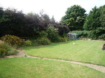 Garden Photo 2