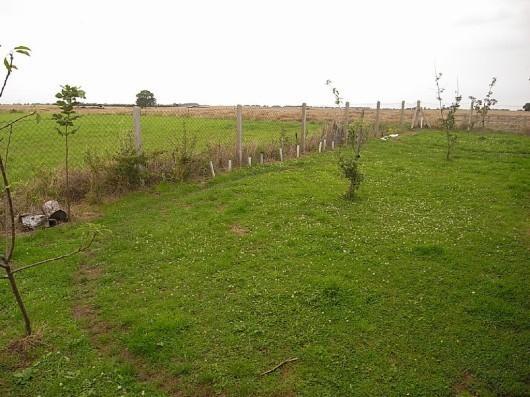 Far Rear Garden