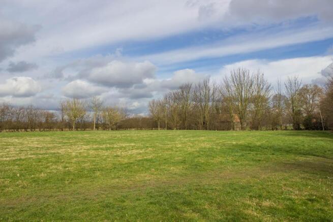 Fields at the back of the house