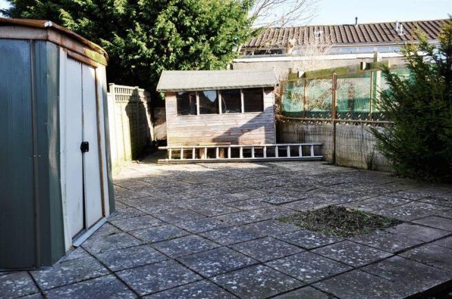 back yard