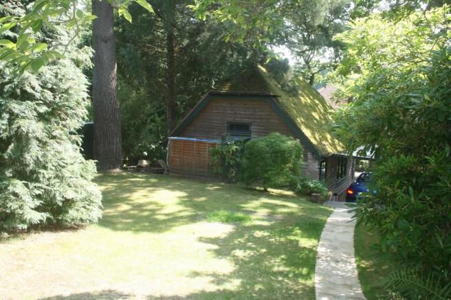 Photo 11