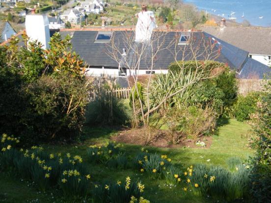Garden & Rear Aspect