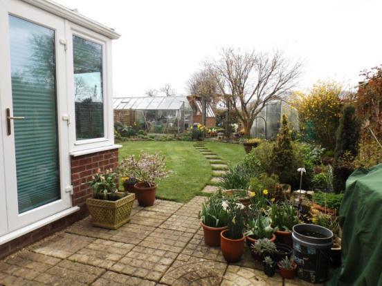 Garden Pic 3