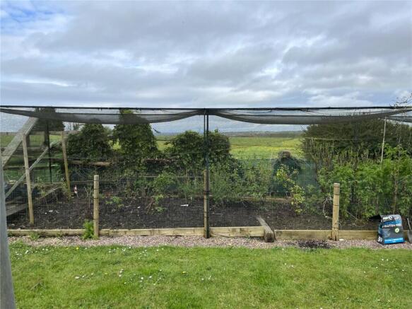 Fruit Cage