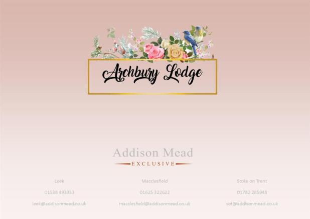 Addison Mead