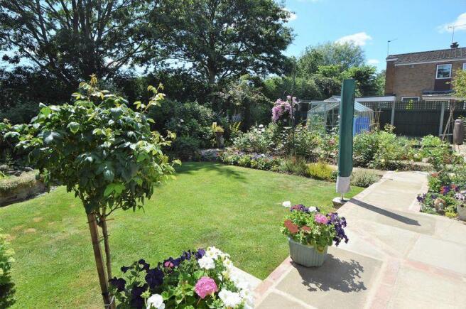 garden from patio