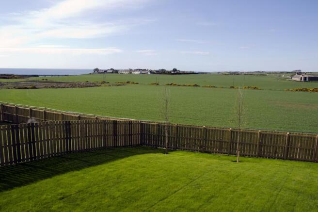 View from garden