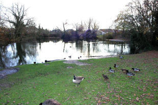 View over Moat Pond