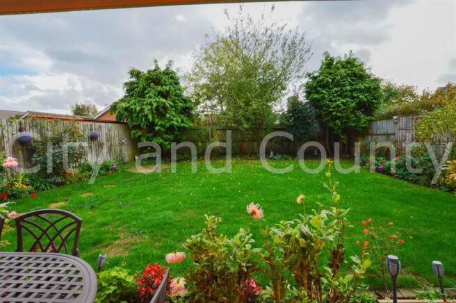 rear garden.
