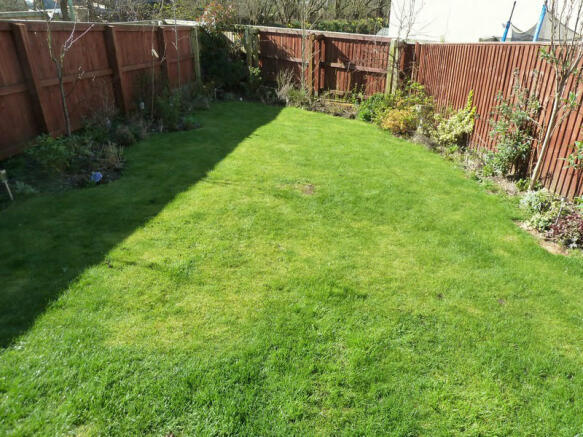 Picture 11