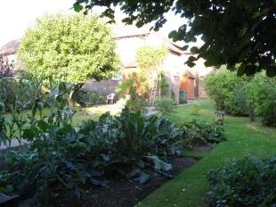 Garden 4