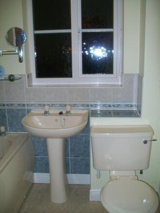 additional picture
