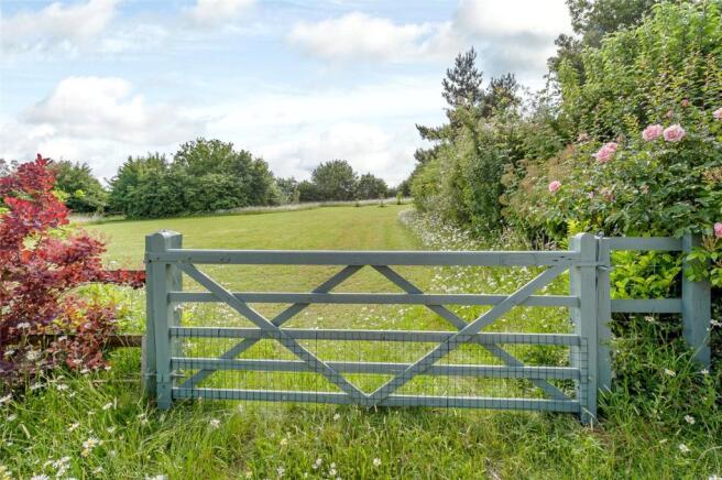 Paddock/Meadow