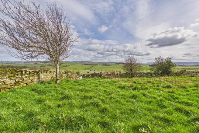 CAM04201G0-PR0161-STILL001