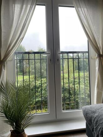 view through window.jpeg