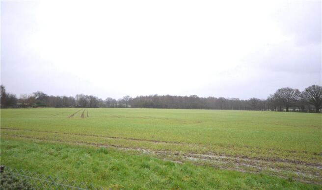 Views Of Field