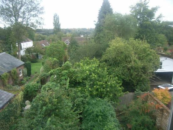 Vicarage Lane