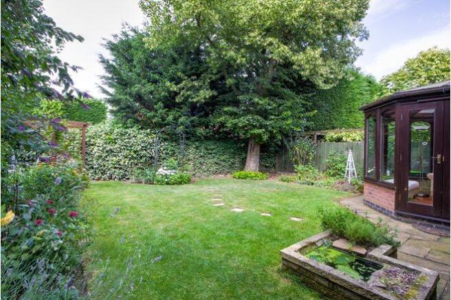 Mature Garden