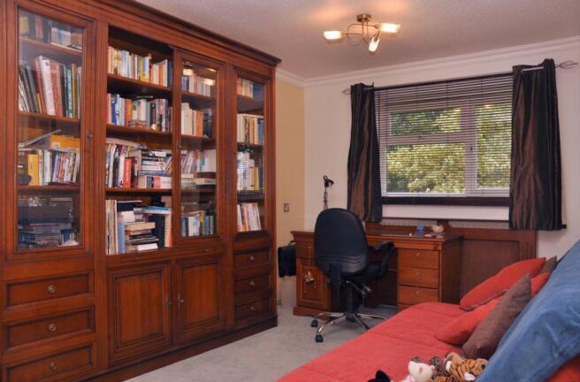 Photo 5