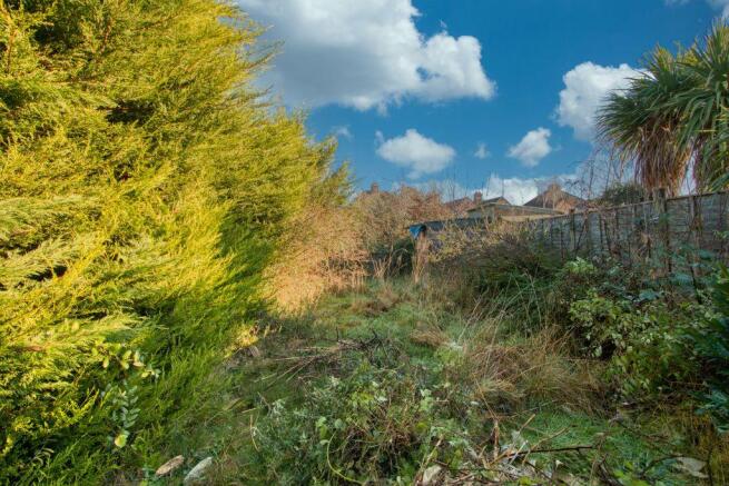 Garden at Back