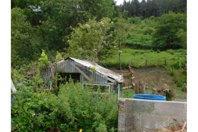 Photo 22
