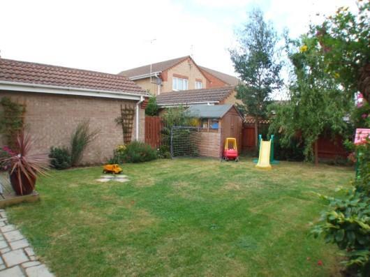 Garden 1