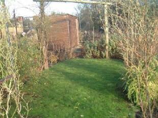 upper lawn