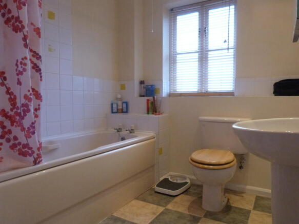 Photo 5