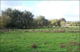 paddocks